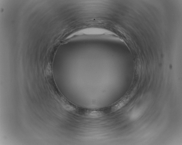 X0000075900467200610062122