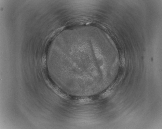 X0000075900468200610062122