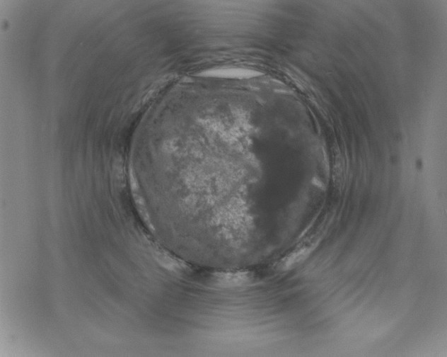 X0000075900469200610062122