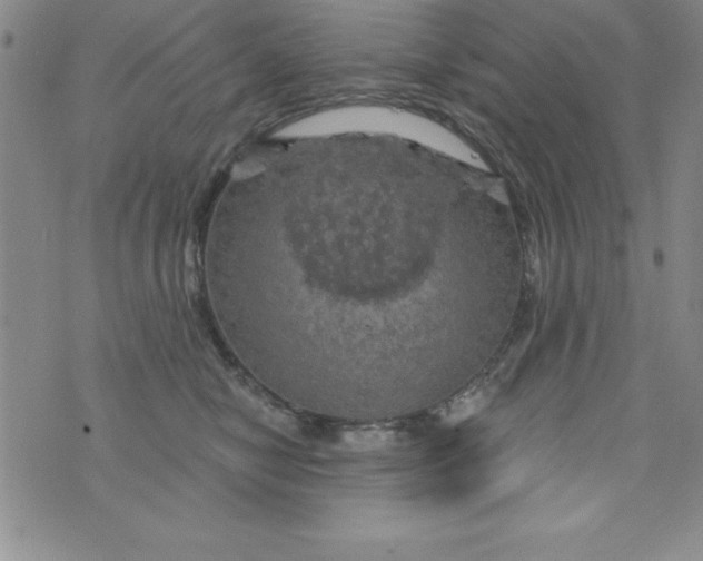 X0000075900470200610062122