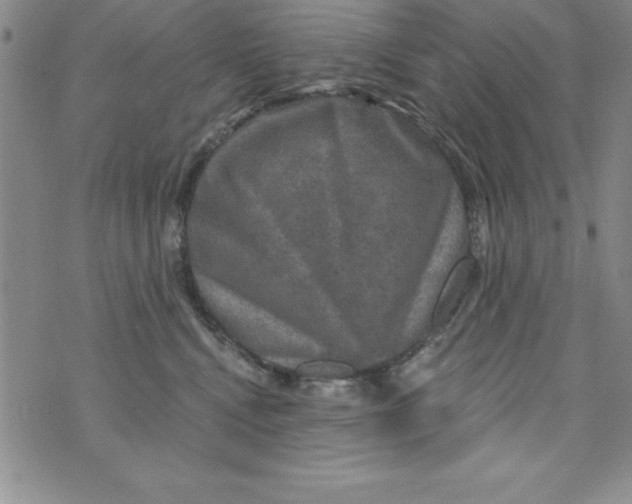 X0000075900472200610062122