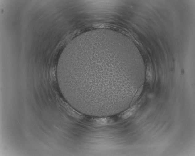 X0000075900473200610062122