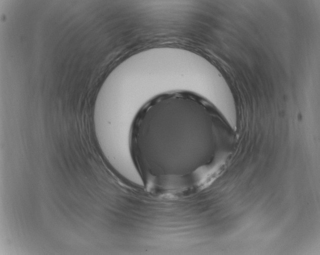 X0000075900475200610062122