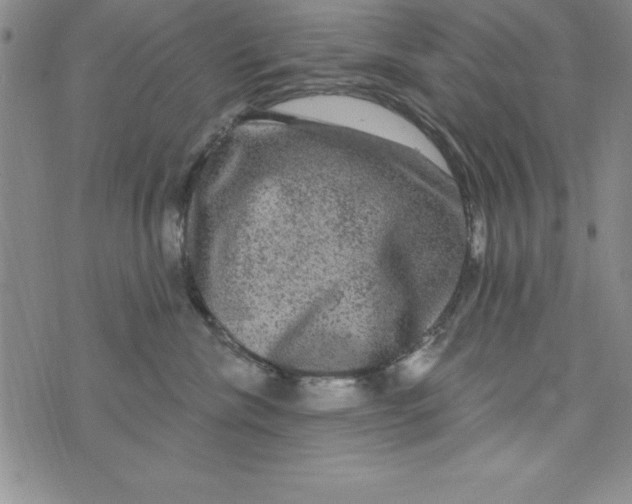 X0000075900476200610062122