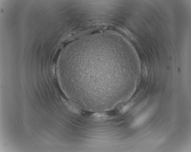 X0000075900477200610062122