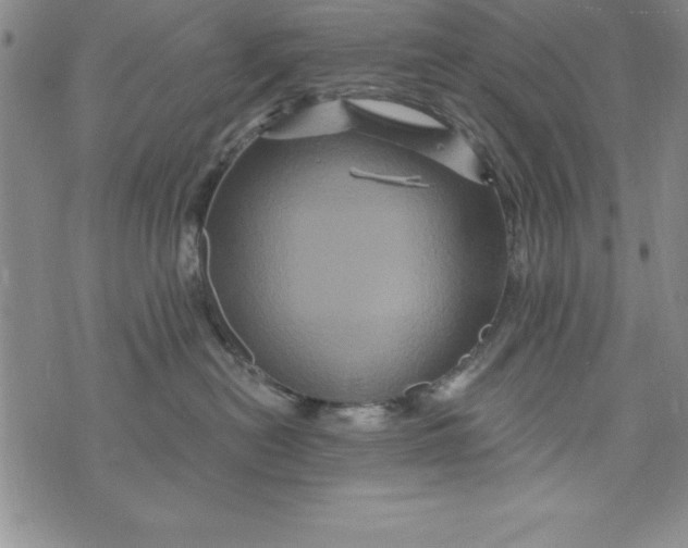 X0000075900478200610062122