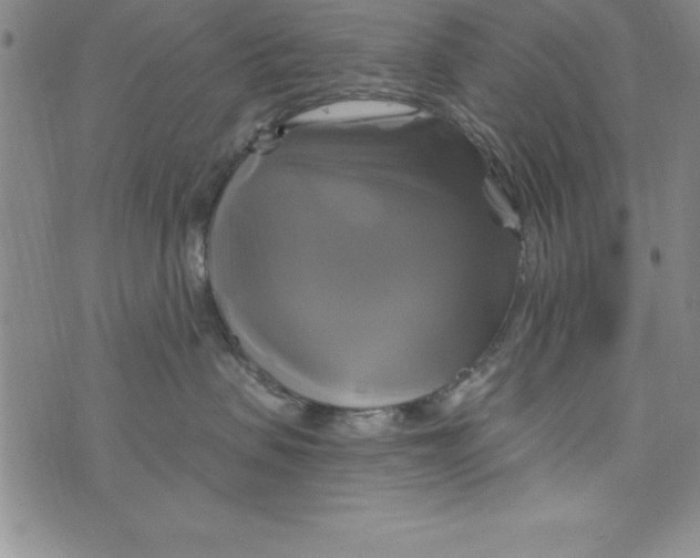 X0000075900479200610062122