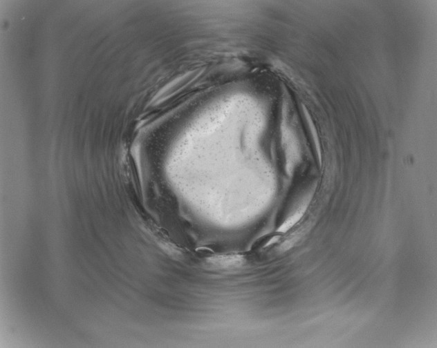 X0000075900480200610062122