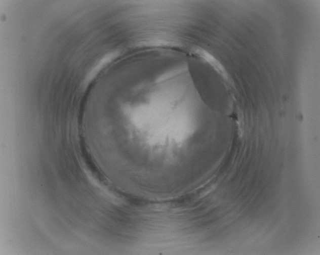 X0000075900482200610062121