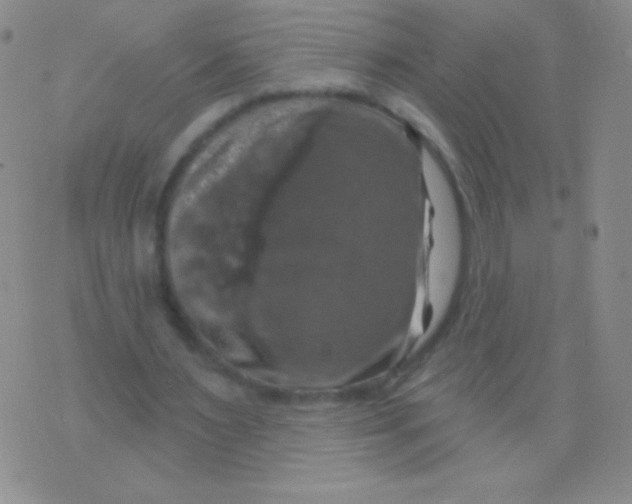 X0000075900483200610062121