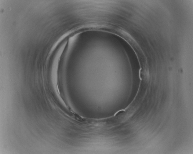 X0000075900484200610062121