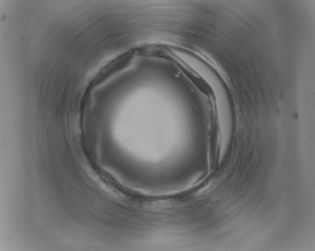 X0000075900485200610062121