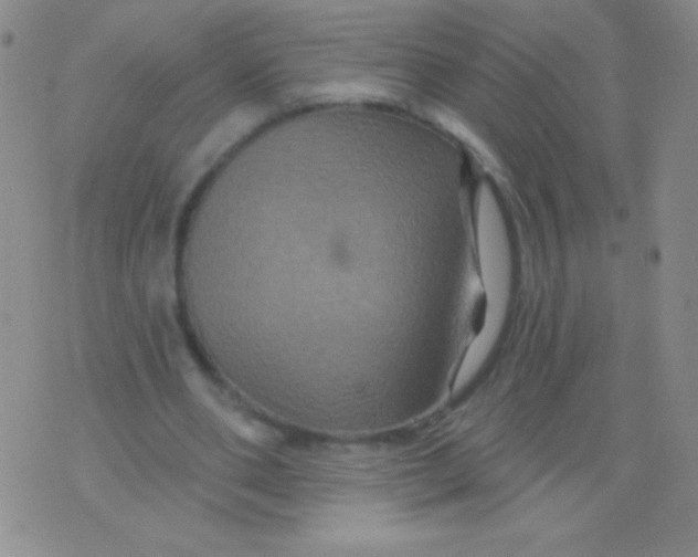 X0000075900486200610062121