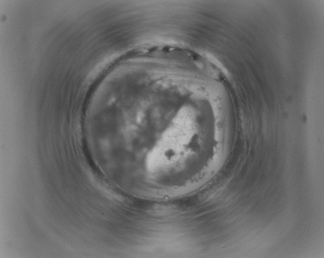 X0000075900487200610062121