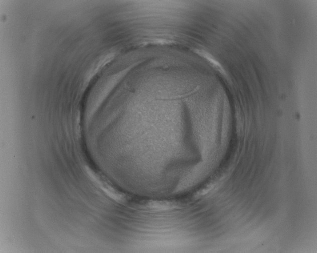 X0000075900490200610062121