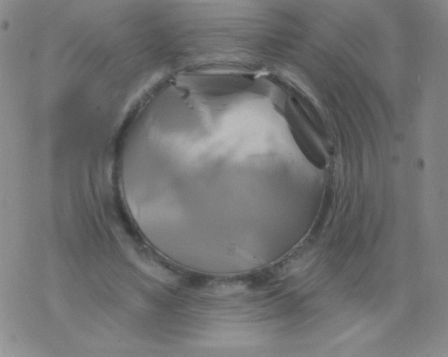 X0000075900491200610062121