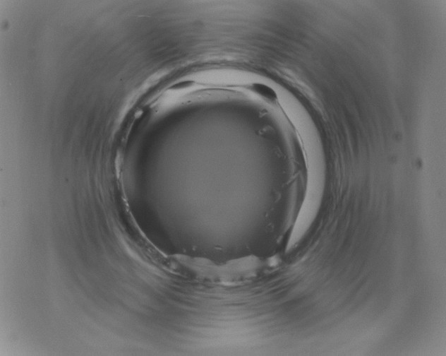 X0000075900492200610062121