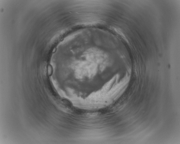 X0000075900495200610062121