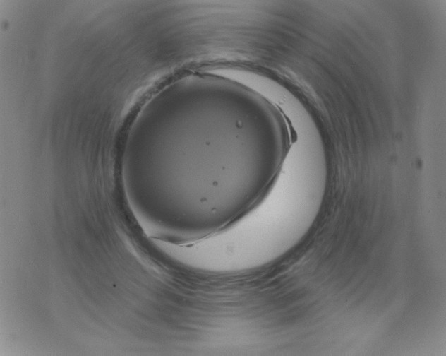 X0000075900496200610062121