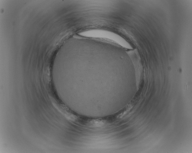 X0000075900498200610062121