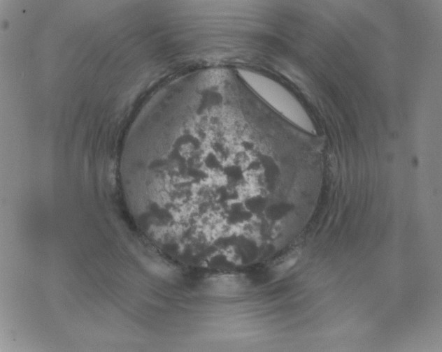 X0000075900499200610062121