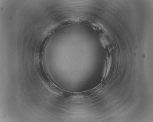 X0000075900500200610062121