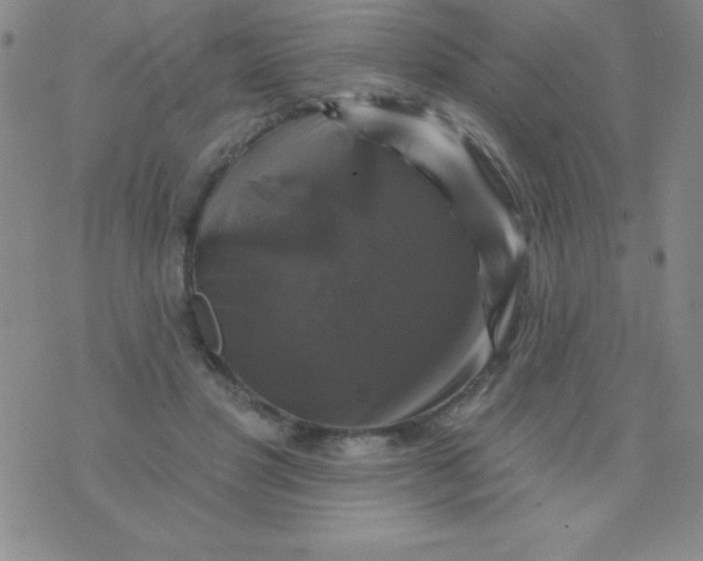 X0000075900501200610062121