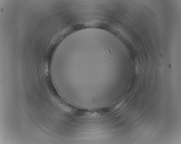 X0000075900502200610062121