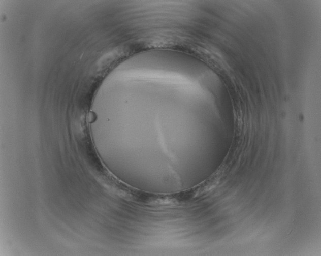 X0000075900503200610062121