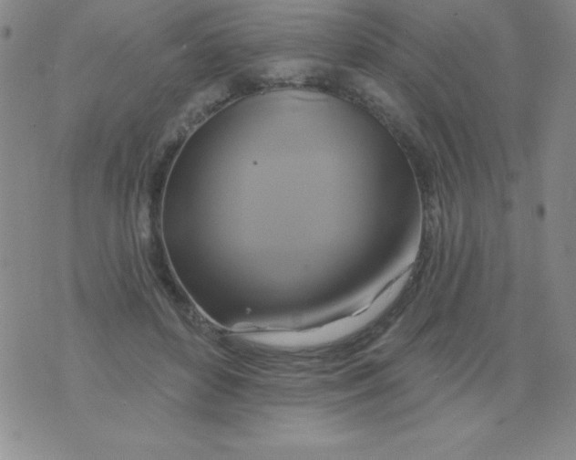 X0000075900504200610062121