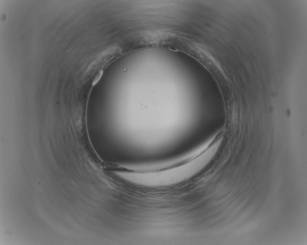 X0000075900505200610062121