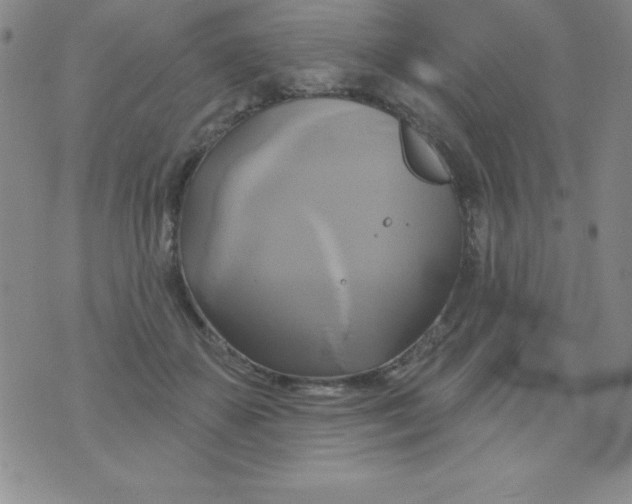 X0000075900507200610062121