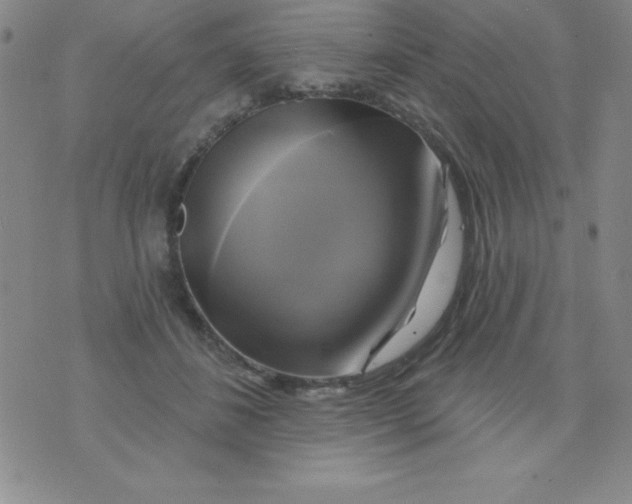 X0000075900508200610062121