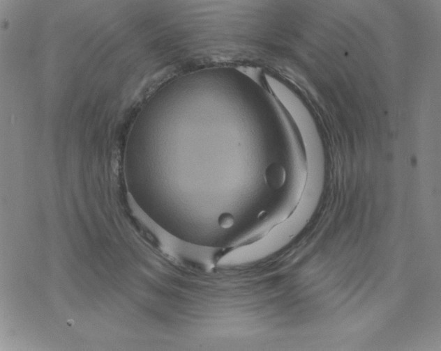 X0000075900509200610062121