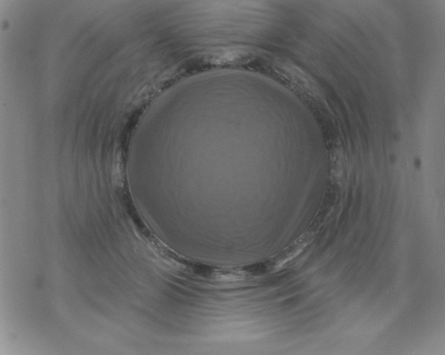 X0000075900510200610062121