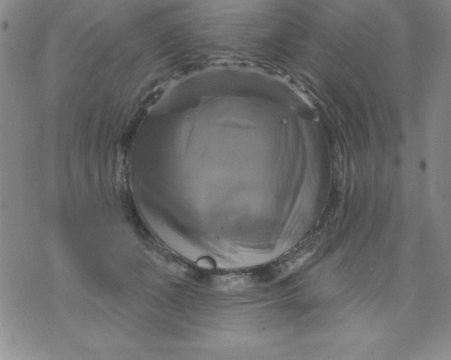 X0000075900511200610062121