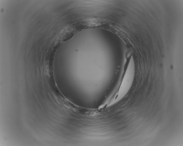 X0000075900512200610062121