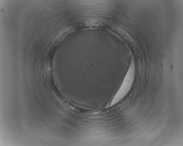 X0000075900513200610062121