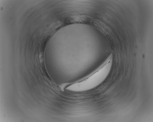 X0000075900514200610062121