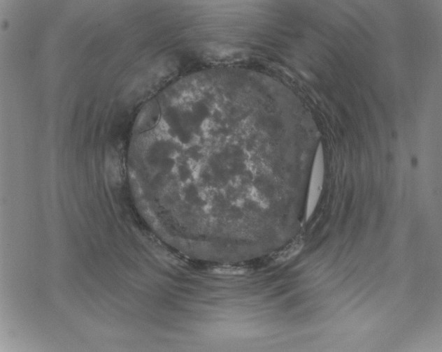 X0000075900515200610062121