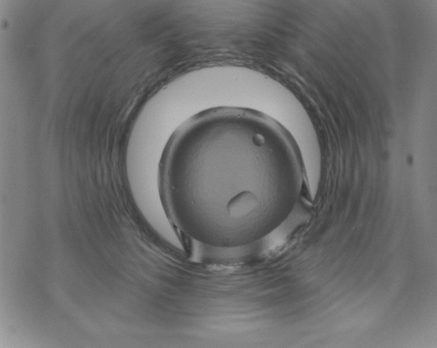 X0000075900516200610062121