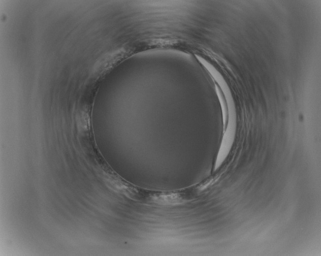 X0000075900517200610062121