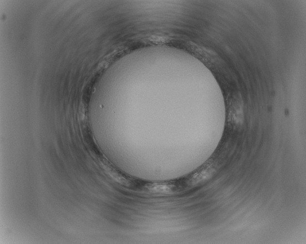 X0000075900518200610062121