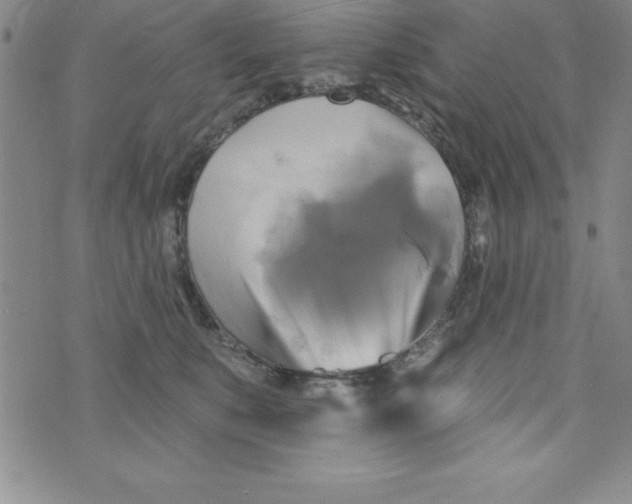 X0000075900519200610062121