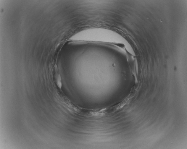 X0000075900520200610062121