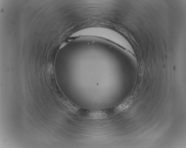 X0000075900521200610062121