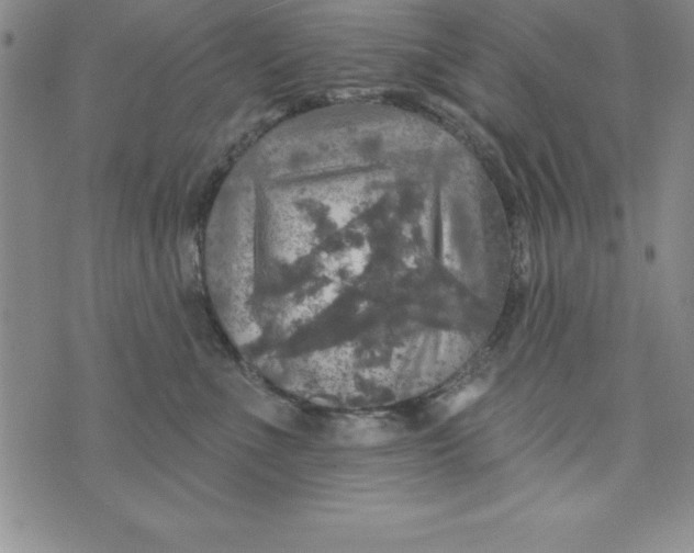 X0000075900523200610062121