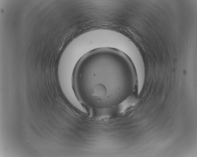 X0000075900524200610062121