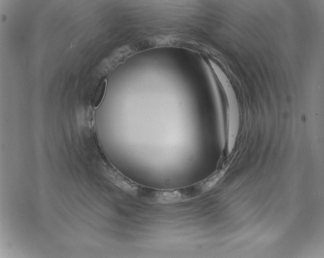 X0000075900525200610062121