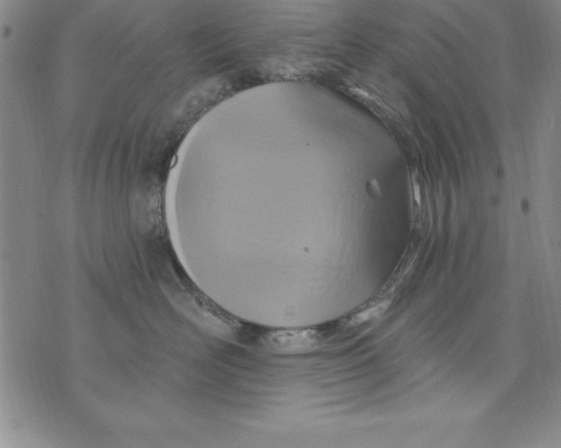 X0000075900526200610062121